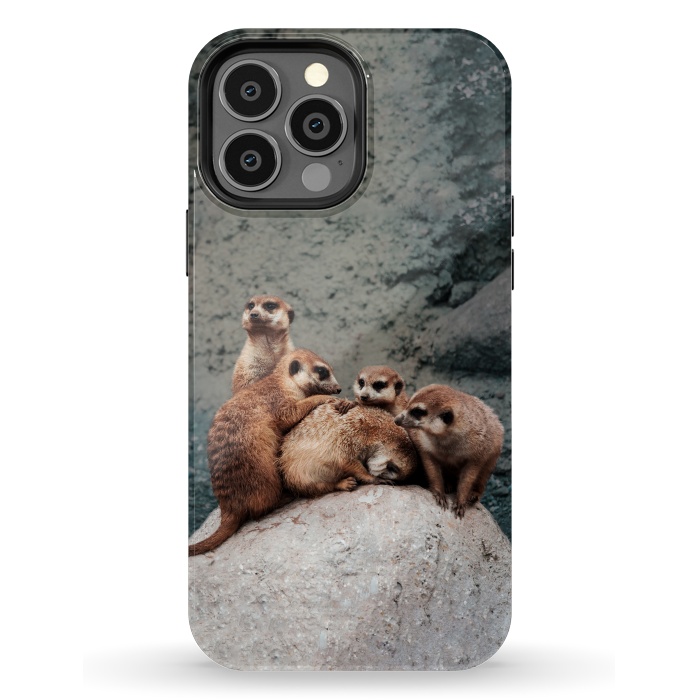 iPhone 13 Pro Max StrongFit Meerkat family by Laura Nagel