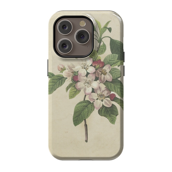 iPhone 14 Pro StrongFit Vintage Apple Blossom Painting by Andrea Haase