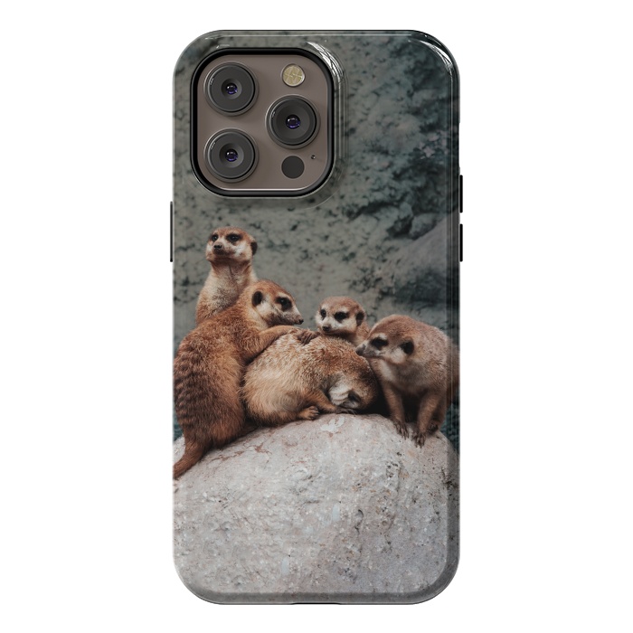iPhone 14 Pro max StrongFit Meerkat family by Laura Nagel