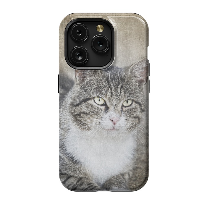 iPhone 15 Pro StrongFit Friendly Cat Mixed Media Art by Andrea Haase