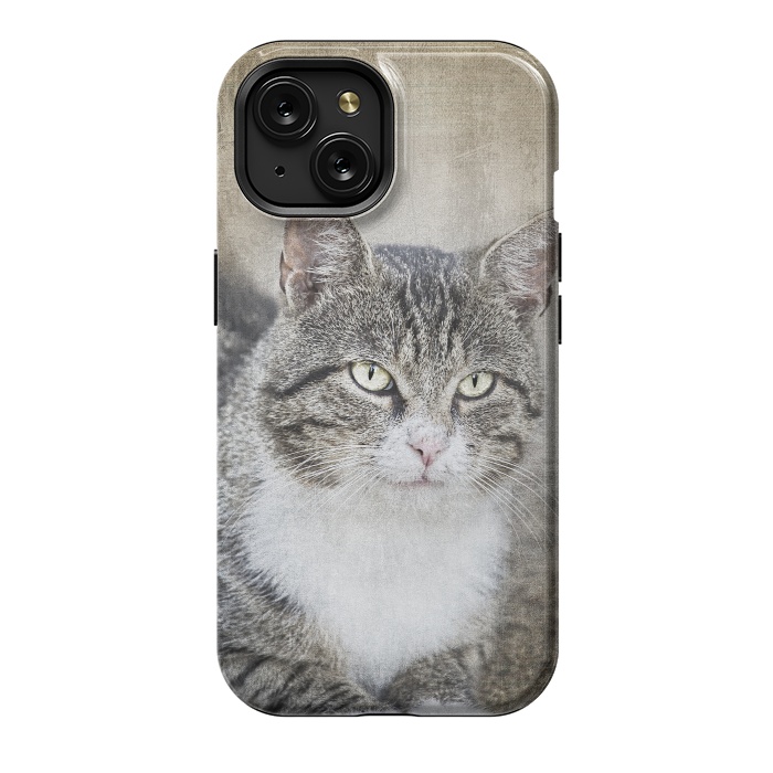 iPhone 15 StrongFit Friendly Cat Mixed Media Art by Andrea Haase