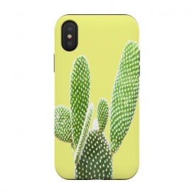 Cactus Yellow Background by Alemi